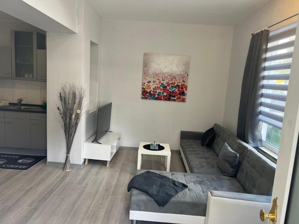 הולצמינדן Ferienwohnung Am Park מראה חיצוני תמונה